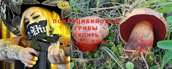 PSILOCYBIN Алзамай