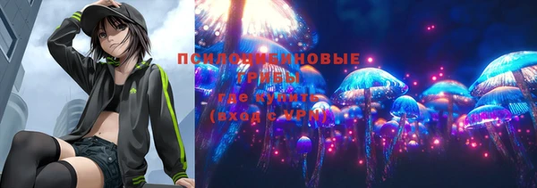 гашик Алексеевка