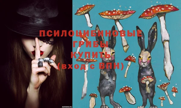 PSILOCYBIN Алзамай