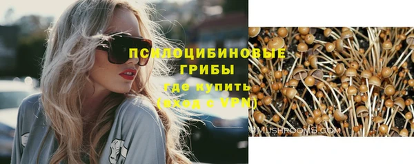 PSILOCYBIN Алзамай