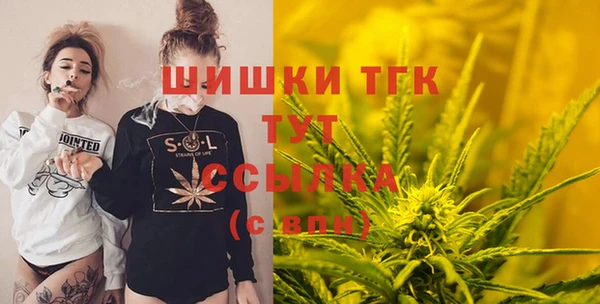 PSILOCYBIN Алзамай